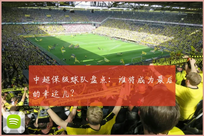 中超保级球队盘点:谁将成为最后的幸运儿?
