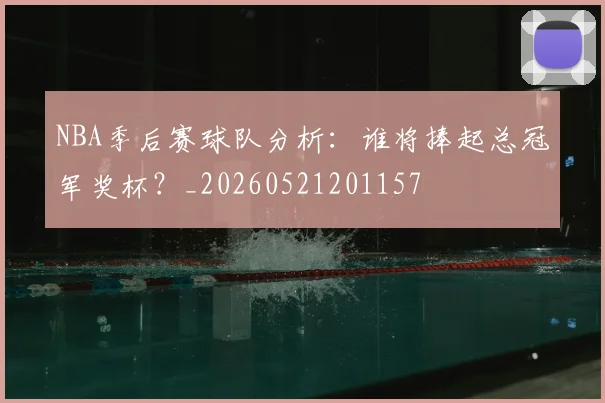 NBA季后赛球队分析：谁将捧起总冠军奖杯？_20260521201157
